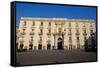 University of Catania, Piazza Universite, Catania, Sicily, Italy, Europe-Carlo Morucchio-Framed Stretched Canvas