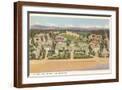Brown Frame