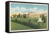 University of Idaho at Pocatello-null-Framed Stretched Canvas