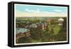 University of Illinois-null-Framed Stretched Canvas