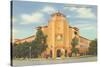 University of Miami, Coral Gables, Florida-null-Stretched Canvas