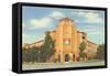 University of Miami, Coral Gables, Florida-null-Framed Stretched Canvas