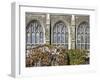 University of Toronto, Ontario, Canada-null-Framed Photographic Print