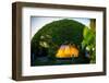 University of Warsaw Library with Beautiful Rooftop Gardens in Poland-RossHelen-Framed Photographic Print