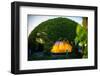 University of Warsaw Library with Beautiful Rooftop Gardens in Poland-RossHelen-Framed Photographic Print