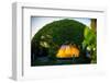 University of Warsaw Library with Beautiful Rooftop Gardens in Poland-RossHelen-Framed Photographic Print