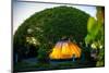 University of Warsaw Library with Beautiful Rooftop Gardens in Poland-RossHelen-Mounted Photographic Print