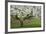 University of Washington Botanic Garden, Seattle, Washington, USA-Charles Gurche-Framed Photographic Print