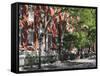 University Place, Greenwich Village, West Village, Manhattan, New York City-Wendy Connett-Framed Stretched Canvas