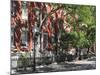 University Place, Greenwich Village, West Village, Manhattan, New York City-Wendy Connett-Mounted Photographic Print