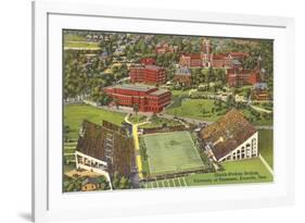University Stadium, Knoxville, Tennessee-null-Framed Premium Giclee Print