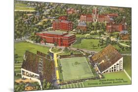 University Stadium, Knoxville, Tennessee-null-Mounted Premium Giclee Print