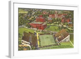 University Stadium, Knoxville, Tennessee-null-Framed Art Print