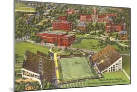 University Stadium, Knoxville, Tennessee-null-Mounted Art Print