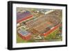 University Stadium, Minneapolis, Minnesota-null-Framed Art Print