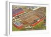 University Stadium, Minneapolis, Minnesota-null-Framed Art Print