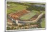 University Stadium, Princeton, New Jersey-null-Mounted Art Print