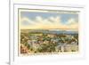 University, Views of Madison, Wisconsin-null-Framed Premium Giclee Print