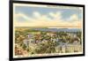 University, Views of Madison, Wisconsin-null-Framed Art Print