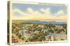 University, Views of Madison, Wisconsin-null-Stretched Canvas