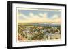 University, Views of Madison, Wisconsin-null-Framed Art Print