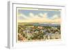 University, Views of Madison, Wisconsin-null-Framed Art Print