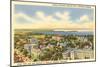 University, Views of Madison, Wisconsin-null-Mounted Art Print