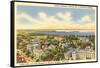 University, Views of Madison, Wisconsin-null-Framed Stretched Canvas