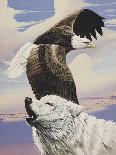 Eagle in Flight with Wolf-unknown Ampel-Art Print