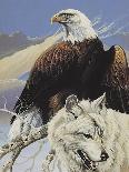 Eagle in Flight with Wolf-unknown Ampel-Art Print