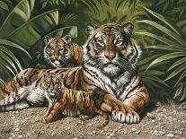 Yellow Tiger with Cubs-unknown Ampel-Framed Art Print