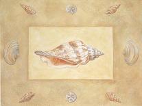 Shells II-unknown Bell-Art Print