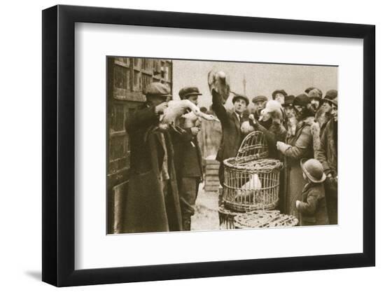 Photographic Print, , large