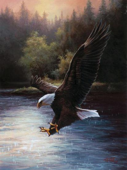 Art Print, , large