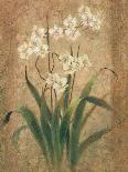 Orchid Study-unknown Chun-Mounted Art Print