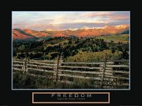 Freedom - Fences-unknown Cook-Photo