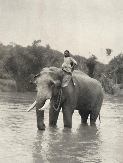 Photographic Print, , large