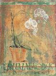 Potted Orchid Study II-unknown Foy-Art Print