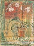 Potted Orchid Study II-unknown Foy-Art Print