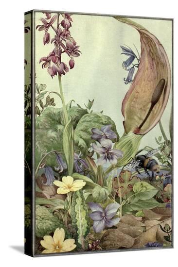 Stretched Canvas Print, , large