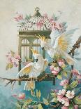 Cockatoo and Blossoms-unknown Johnston-Framed Art Print