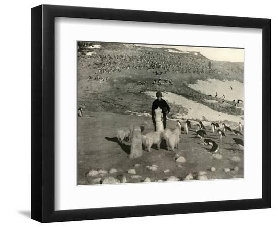 Premium Photographic Print, , large