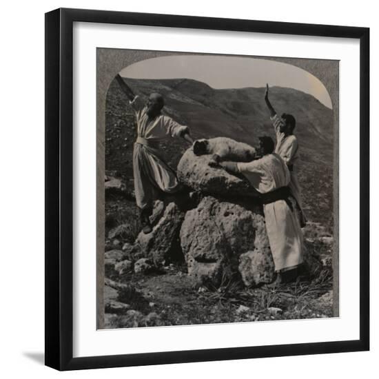 Photographic Print, , large
