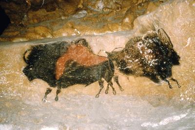 Paleolithic cave-painting of Bison from Lascaux, France. c50,000-c10,000 BC