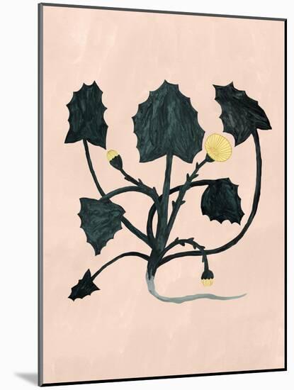 Unknown Plant, 2018-Léa Le Pivert-Mounted Giclee Print