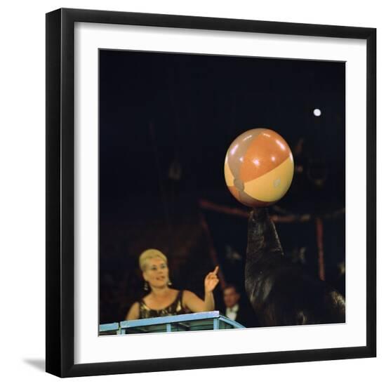 Photographic Print, , large