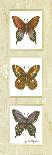 Butterfly Panel-unknown Sibley-Framed Premium Giclee Print