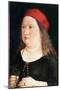 Unknown sitter, 1497-Albrecht Durer Or Duerer-Mounted Giclee Print