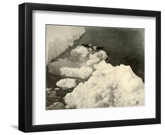 Photographic Print, , large