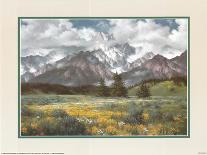 Tocky Mountains-unknown Sorenson-Framed Art Print